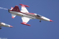 Turkish Stars - Northrop F-5 Tiger