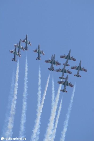 Frecce Tricolori - Aermacci MB339